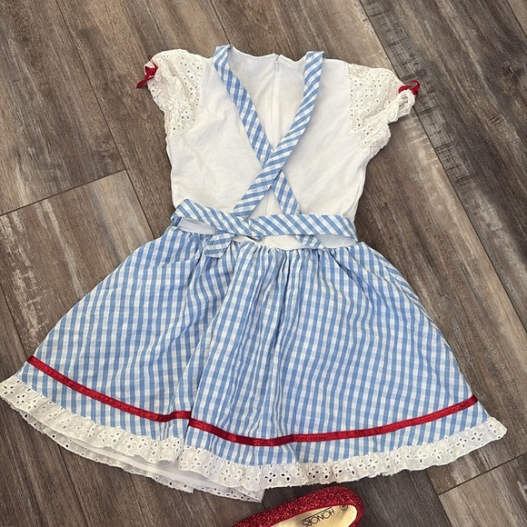 Dorthy Wizard of OZ dress & Vintage Ruby Slippers - Picture 10 of 13